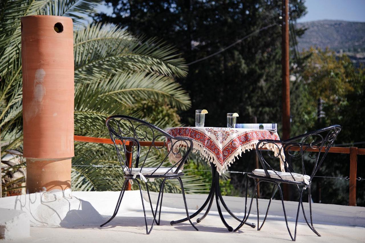 Palm Tree Oriental House And Homestay Polis Zewnętrze zdjęcie