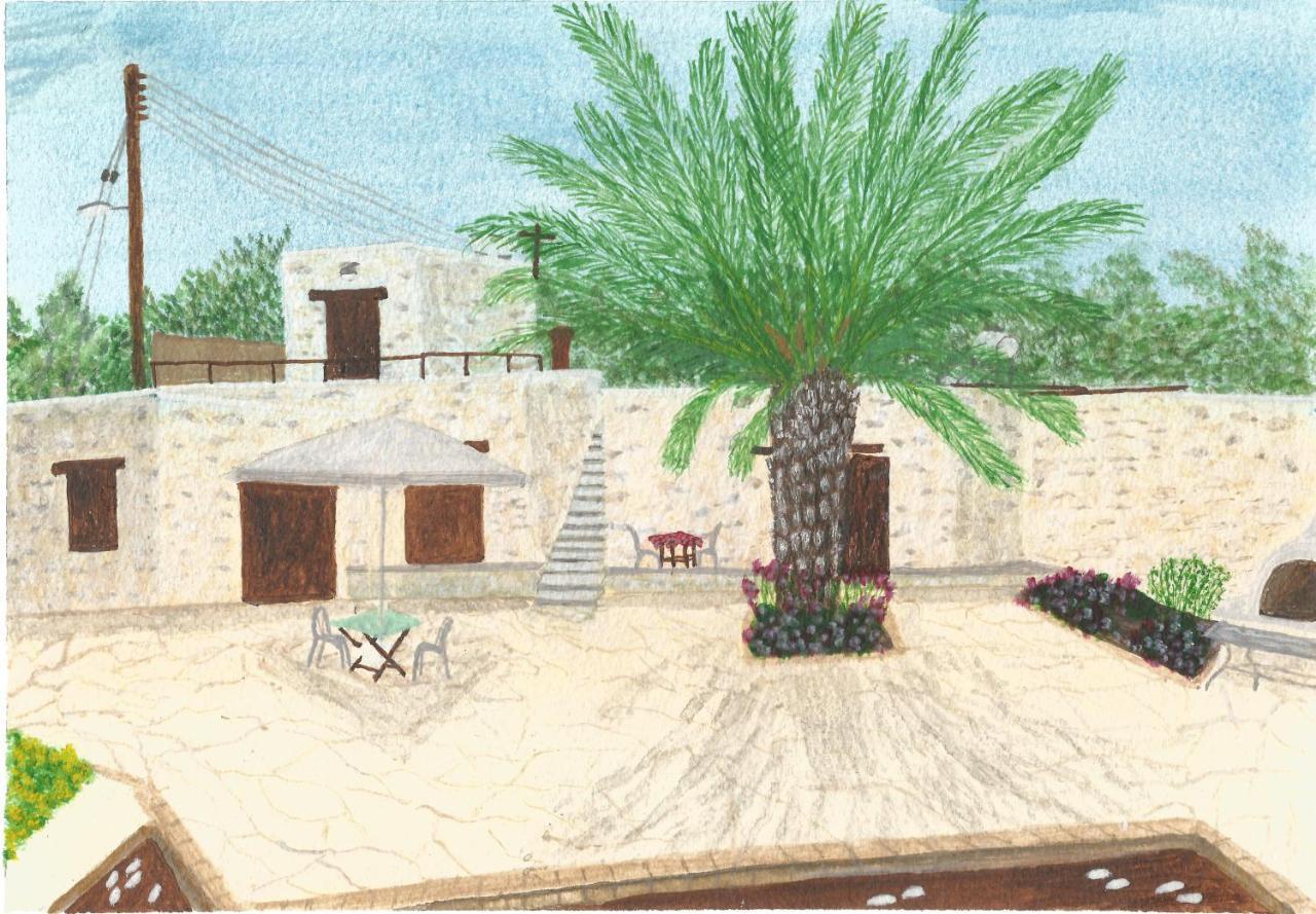 Palm Tree Oriental House And Homestay Polis Zewnętrze zdjęcie